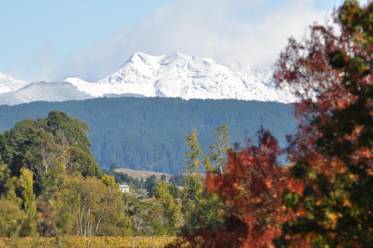 Pirita Vineyard Cottage. Upper Moutere Bagian luar foto