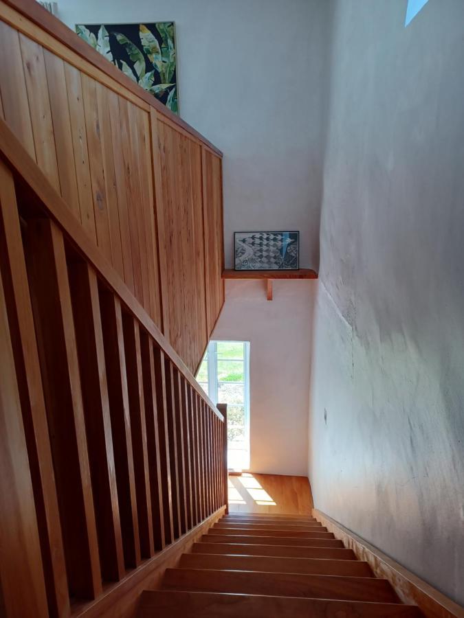 Pirita Vineyard Cottage. Upper Moutere Bagian luar foto