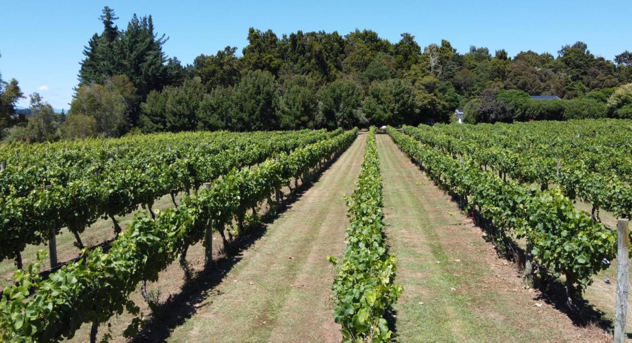 Pirita Vineyard Cottage. Upper Moutere Bagian luar foto